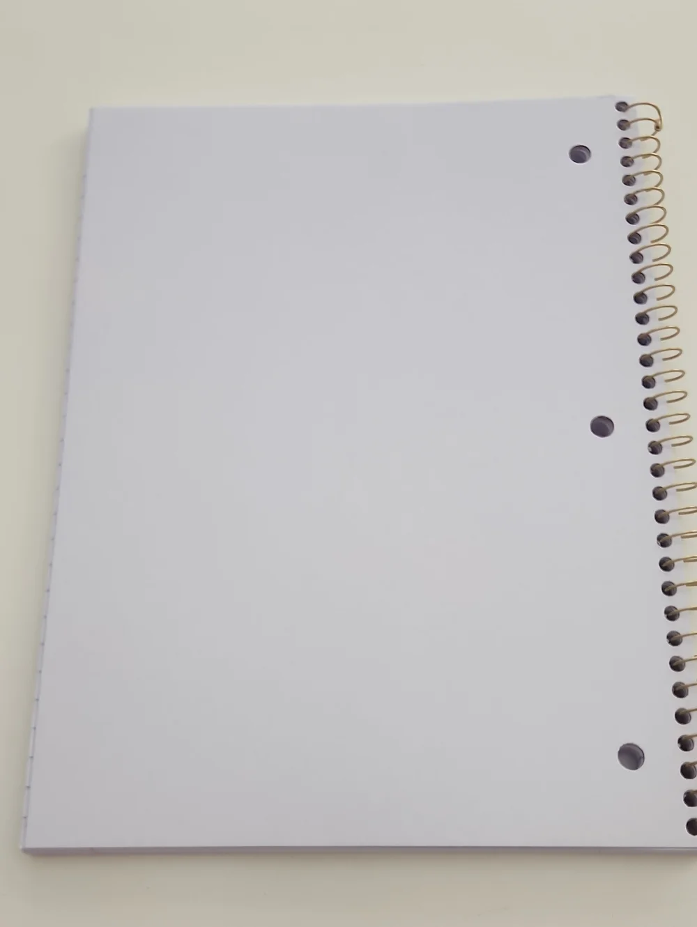 🩷🎯 LoveShackFancy x Target - Yoobi Purpl Rose Floral Wide Ruled Notebook New